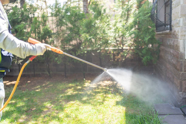 Best Lawn Pest Control  in Homer, LA